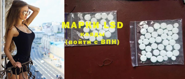 мдпв Верея
