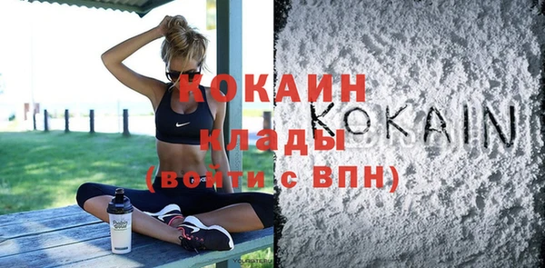 дживик Верхний Тагил