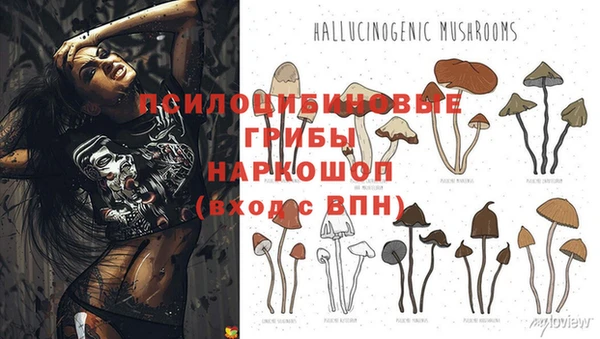 дживик Верхний Тагил
