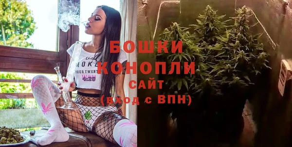 мдпв Верея