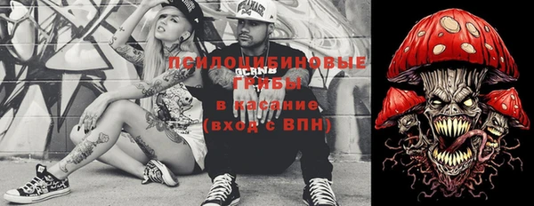 мдпв Верея