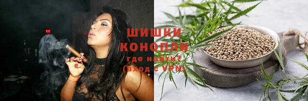дживик Верхний Тагил