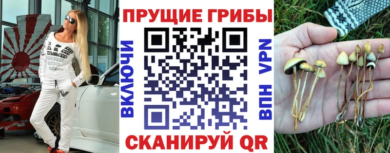 цены наркотик  Вяземский  Псилоцибиновые грибы Cubensis 